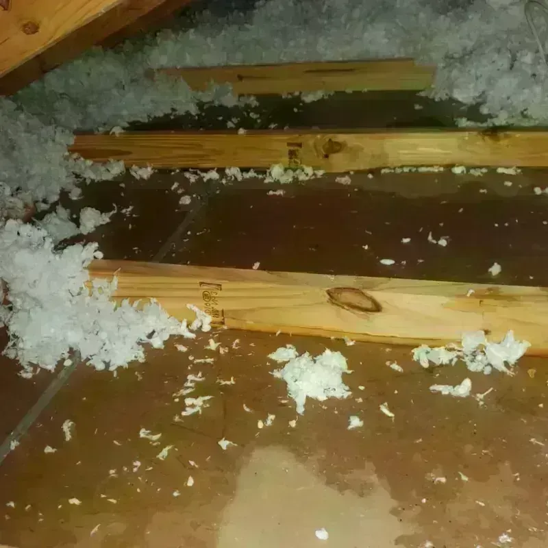 Attic Water Damage in New Berlin, WI