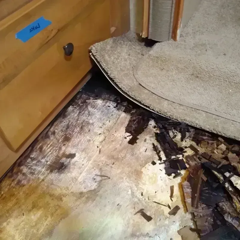 Wood Floor Water Damage in New Berlin, WI